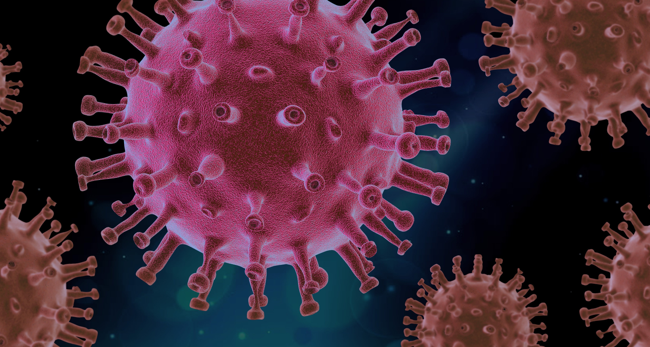 Piro4d virus 4937553