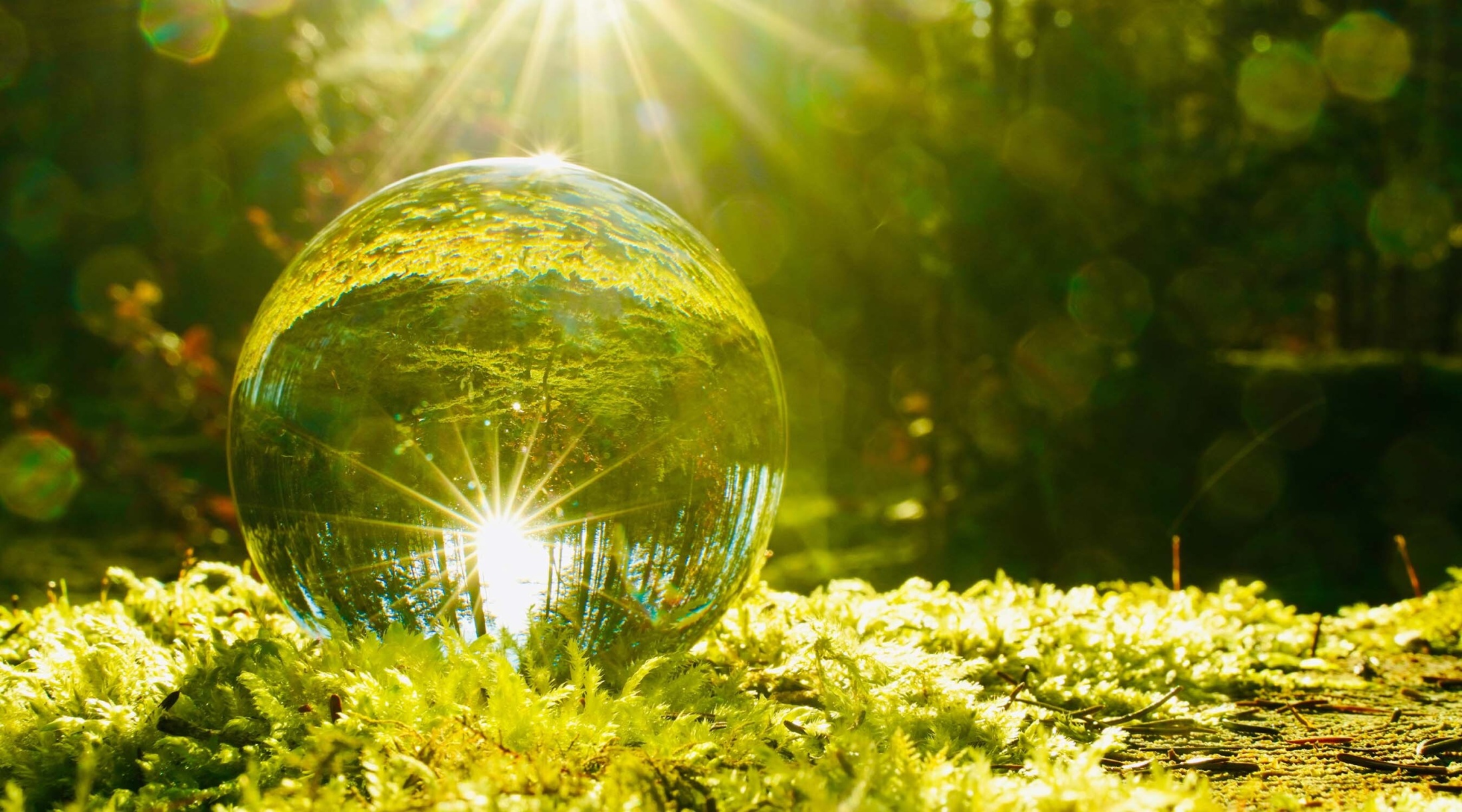 Homoeopathie therapie centrum praxis luzern