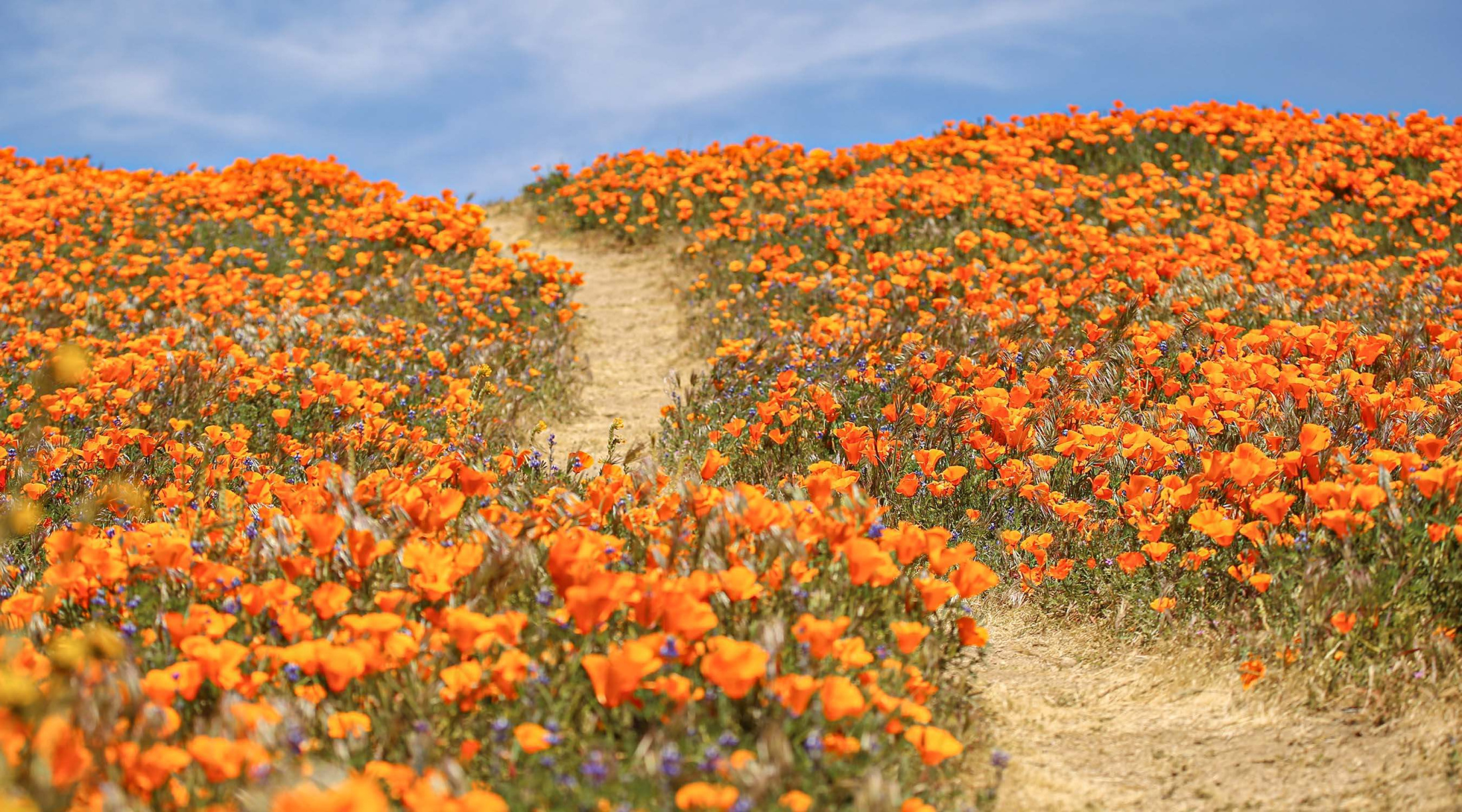 Physiotherapie Lebensweg Therapie Centrum Praxis Luzern 01