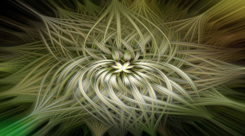 Spiraldynamik®